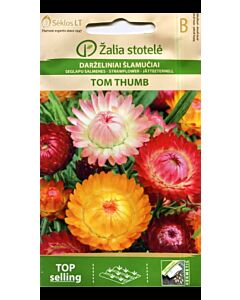 Хелихризум Tom Thumb' SK - 0.5 гр