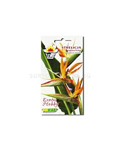 Стрелиция -Strelitzia reginae- 5 бр.