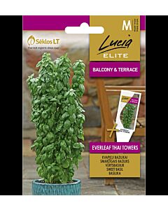 СК БОСИЛЕК ТАЙ SWEET BASIL EVERLEAF THAI TOWERS - 20 семена