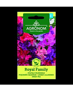 СК ДЕКОРАТИВЕН ГРАХ ROYAL FAMILY, SWEET PEA