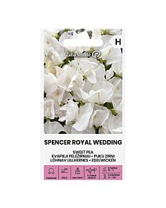 СЕМЕНА ДЕКОРАТИВЕН ГРАХ SPENCER ROYAL WEDDING СК