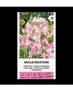 СЕМЕНА СЛАДЪК ГРАХ MOLLIE RILESTONE СК 