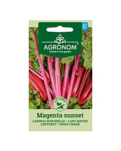 Семена Манголд MAGENTA SUNSET 'SK - 2 г