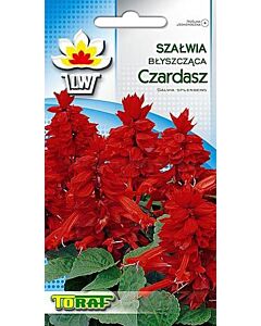 Семена салвия пламък / Szałwia Czardasz/ TF -1 оп