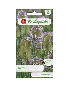 ЛГ ДИПСАКУС Dipsacus sativus lilac