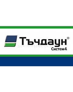 Тъчдаун Систем 4