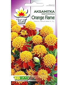 Тагетес Orang Flame -1 г