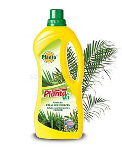 Течен тор за палма, юка, драцена Planta