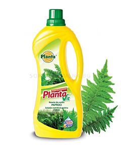 Течен тор за папрати Planta