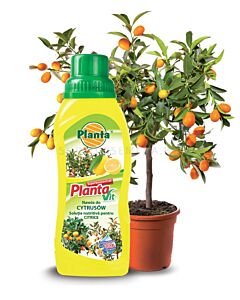 Течен тор за цитруси Planta