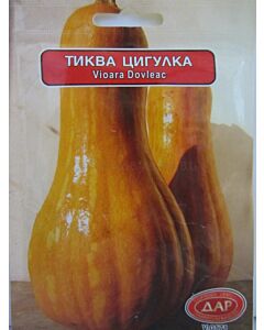 Сорт тиква Цигулка. Аграра ООД. Сортови семена Варна.