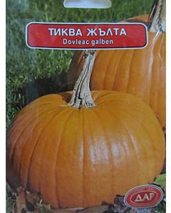 Сорт Жълта тиква. Аграра ООД. Сортови семена Варна.