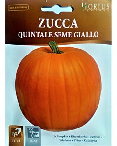 Тиква QUINTALE SEME GIALLO MEGA PACK - BL