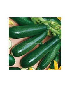 тиквички Черна красавица - 50 г