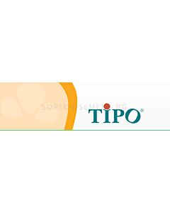 Типо