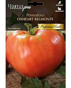 Семена домат OXHEART Sel. BELMONTE PRO