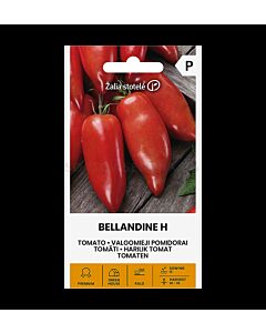 Домат BELLANDINE H - 'SK - 7 семена