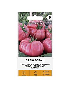 СЕМЕНА ДОМАТИ CASSAROSA H - СК