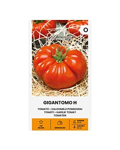 СК СЕМЕНА ДОМАТИ GIGANTOMO H