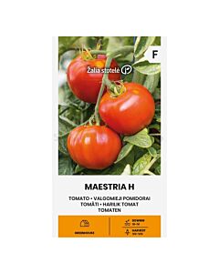 СК СЕМЕНА ДОМАТИ MAESTRIA H