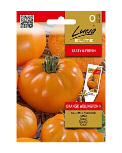 СК СЕМЕНА ДОМАТИ ORANGE WELLINGTON H