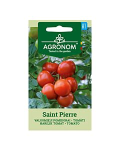 Семена домати SAINT PIERRE/ SK - 0,2 г