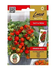 СК СЕМЕНА ДОМАТИ VERANDA RED H