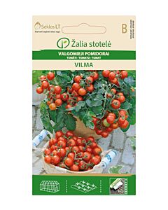 СК ЧЕРИ ДОМАТИ ВИЛМА TOMATO, VILMA