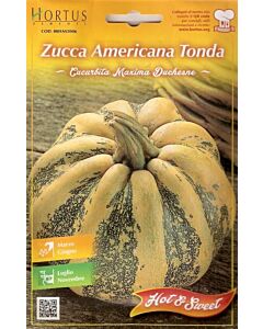 Семена Тиква AMERICANA TONDA - BL