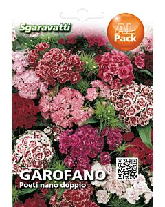 Семена Топ Карамфил кичест микс (нисък)`SG