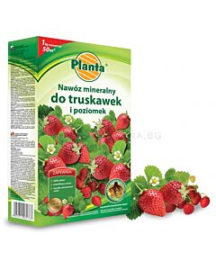 Тор за ягоди Planta