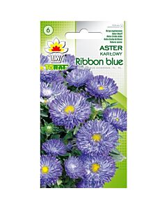Астра ниска /Ribbon Blue/ TF -1 гр
