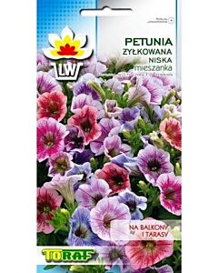 Петуния джудже - 0.1гр
