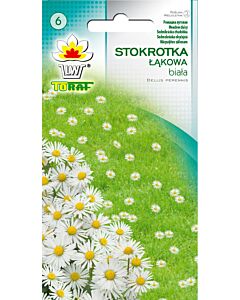 Бяла маргаритка ливадна - Bellis perennis - 0,2 g