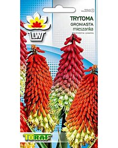 Семена Тритома (Книфофия, Факелна лилия) микс