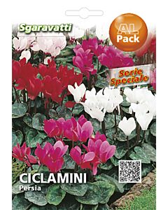 Семена Циклама`SG
