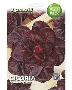 Семена Цикория Grumolo Rosso`SG