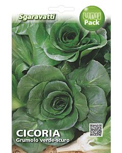 цикория Grumolo verde-scuro`SG - 1 бр