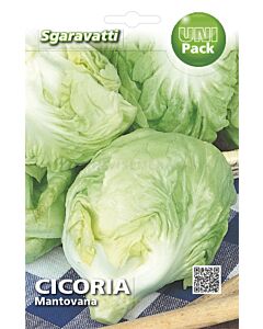 Семена цикория Mantovana`SG
