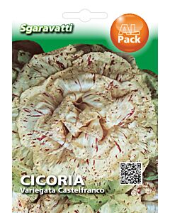 Семена Цикория Variegata`SG