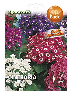 Семена Цинерария`SG