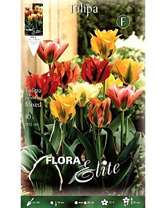 Лале Viridiflora Mixed