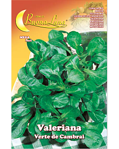 Валериана VERTE DE CAMBRAI MEGA PACK - BL