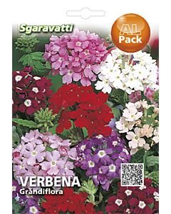 Семена Вербена`SG