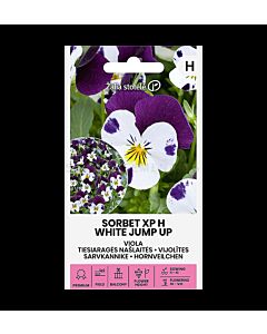 СК СЕМЕНА ТЕМЕНУЖКА ДРЕБНА  ДЖЪМПЪП VIOLA SORBET XP H WHITE JUMP UP 