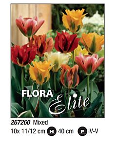 Лале viridiflora mixed - Пакет: 1 оп. - 10 бр.