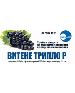 Витене Трипло Р. Аграра ООД.
