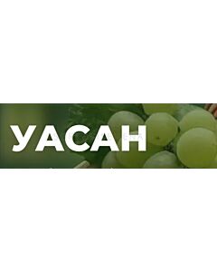 Уасан - 5 л