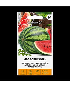 СК СЕМЕНА ДИНИ МЕГАКРИМСОН Х WATERMELON, MEGACRIMSON H  