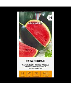 Диня PATA NEGRA H - 'SK- 5 семена